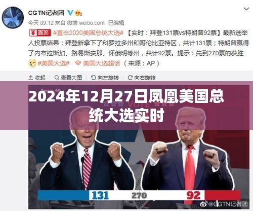 凤凰网实时解析，2024年总统大选动态