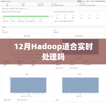 Hadoop实时处理能力解析，适合12月处理吗？