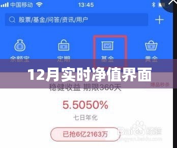 12月实时净值查询界面