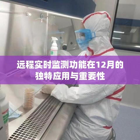 远程实时监测功能在冬季应用的重要性与独特应用