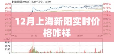 上海新阳实时价格走势分析