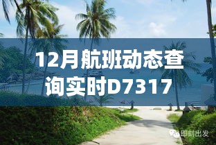 D7317航班实时动态查询系统（十二月版）