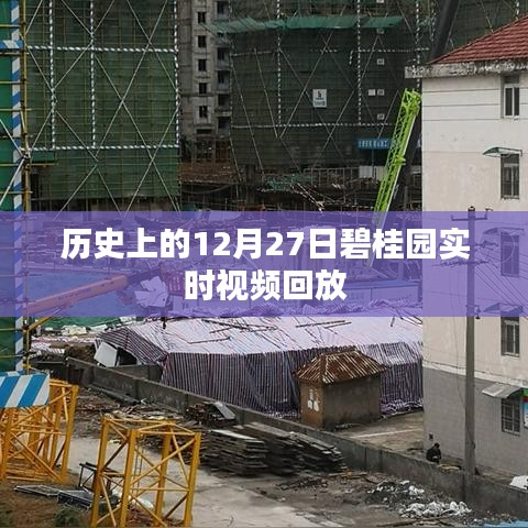 碧桂园实时视频回放，历史性的十二月二十七日回顾