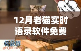 12月老猫实时语录软件，免费分享，不容错过！