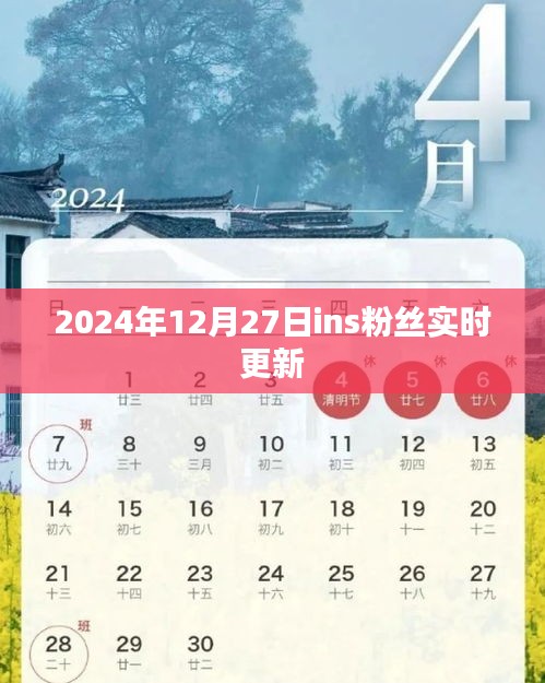 2024年12月27日Ins粉丝实时更新数据