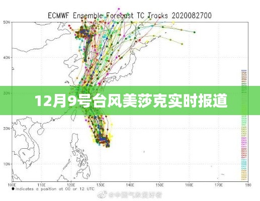 台风美莎克实时动态报道，最新进展，12月9日更新