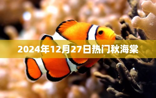 2025年1月1日 第22页