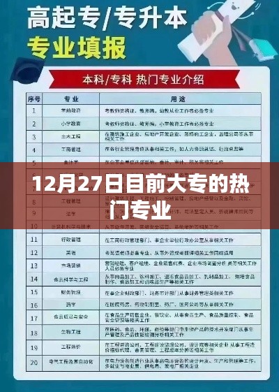 大专热门专业榜单揭晓，12月27日最新趋势分析