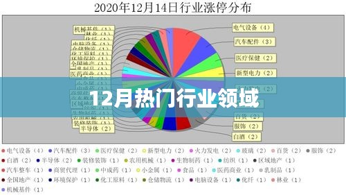 12月热门行业领域概览