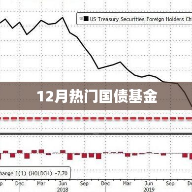 最新热门国债基金动态，12月投资首选