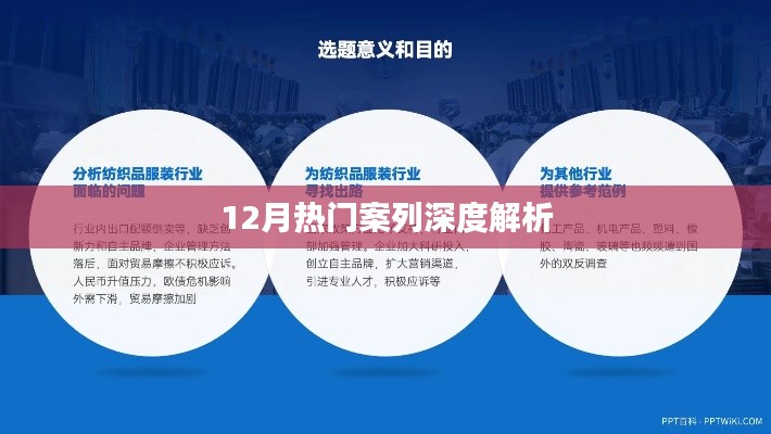 12月热点案例深度剖析