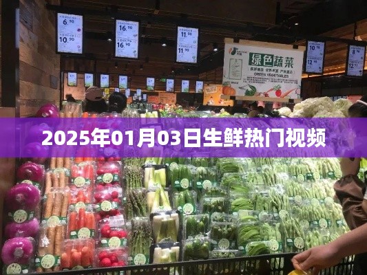 『2025年热门生鲜视频概览』