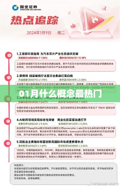 关于热门概念的探讨与解析