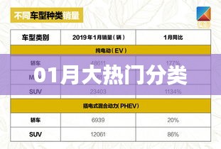 热门分类一网打尽，揭秘一月份最热门分类榜单