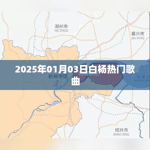 白杨最新热门歌曲大盘点（2025年）