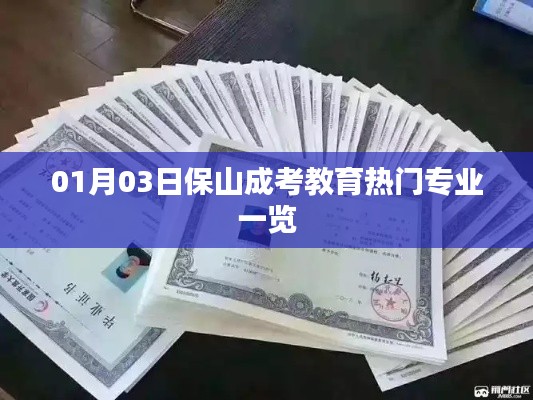 保山成考教育热门专业概览，最新榜单揭晓