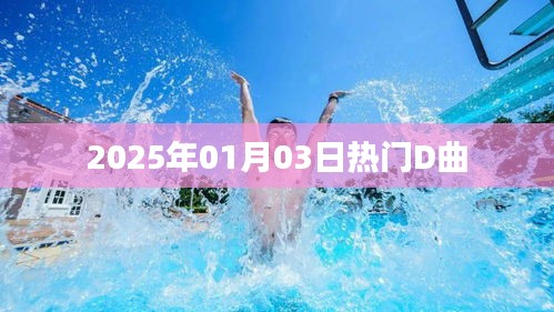 2025年元旦热门D曲盘点