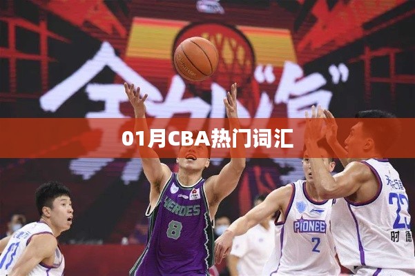 CBA一月热门词汇盘点