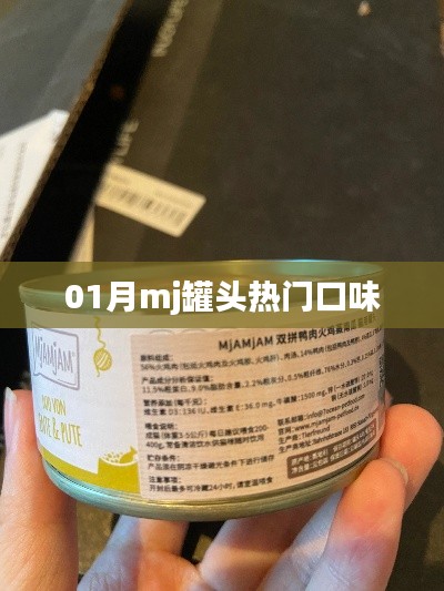 01月热门口味mj罐头尝鲜指南