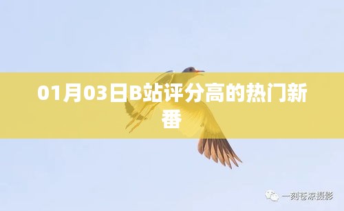 B站热门新番评分高，一月新番榜单出炉