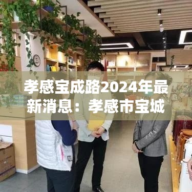 孝感宝成路2024年最新消息：孝感市宝城南路延伸至316国道何时开工 