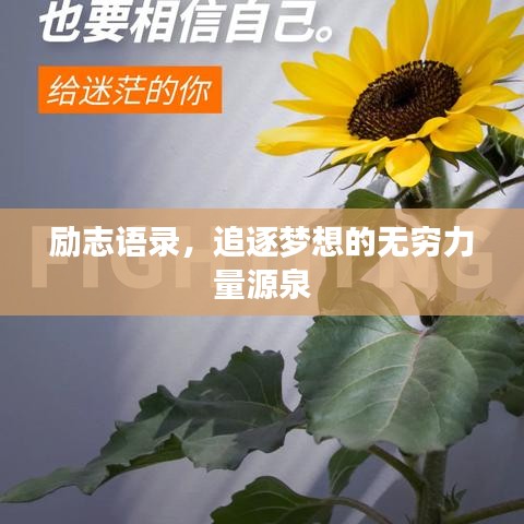 励志语录，追逐梦想的无穷力量源泉