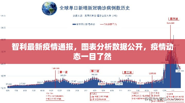 智利最新疫情通报，图表分析数据公开，疫情动态一目了然