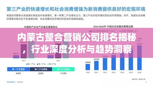 内蒙古整合营销公司排名揭秘，行业深度分析与趋势洞察