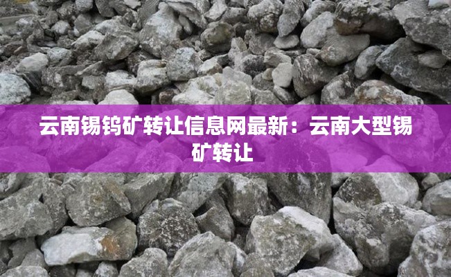 云南锡钨矿转让信息网最新：云南大型锡矿转让 