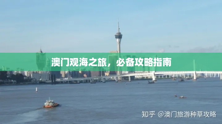 澳门观海之旅，必备攻略指南