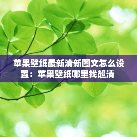 苹果壁纸最新清新图文怎么设置：苹果壁纸哪里找超清 