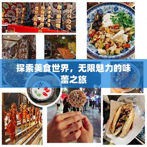 探索美食世界，无限魅力的味蕾之旅