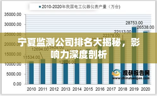 宁夏监测公司排名大揭秘，影响力深度剖析