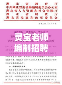 灵宝老师编制招聘信息最新：2019年灵宝招教公告 