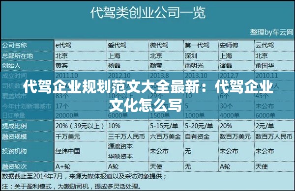 代驾企业规划范文大全最新：代驾企业文化怎么写 