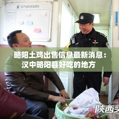 略阳土鸡出售信息最新消息：汉中略阳县好吃的地方 