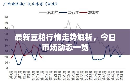 最新豆粕行情走势解析，今日市场动态一览