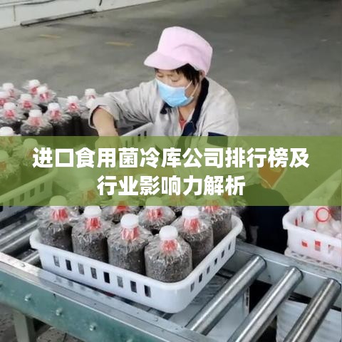 进口食用菌冷库公司排行榜及行业影响力解析