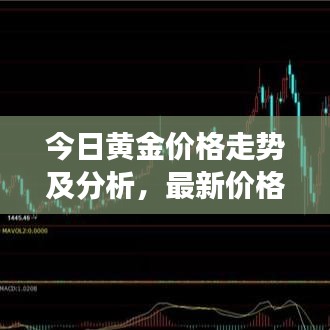 今日黄金价格走势及分析，最新价格与影响因素深度解读