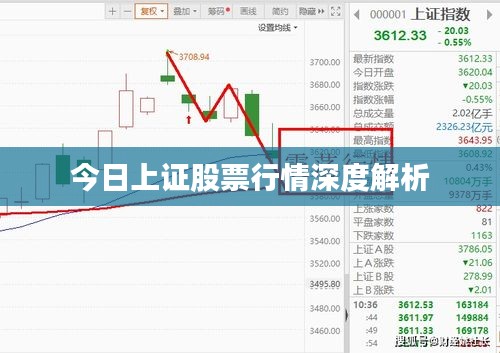 今日上证股票行情深度解析