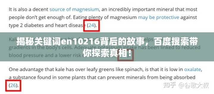 揭秘关键词en10216背后的故事，百度搜索带你探索真相！