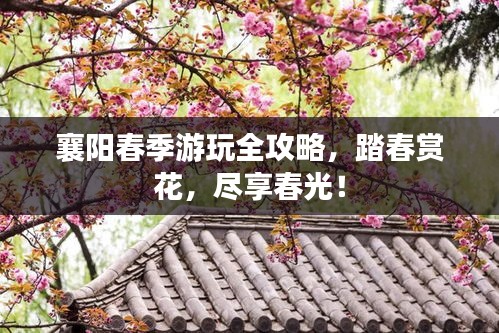 襄阳春季游玩全攻略，踏春赏花，尽享春光！