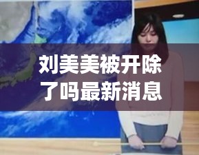 刘美美被开除了吗最新消息：快手刘美美 