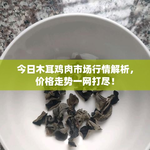 今日木耳鸡肉市场行情解析，价格走势一网打尽！