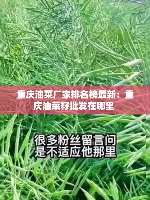 重庆油菜厂家排名榜最新：重庆油菜籽批发在哪里 