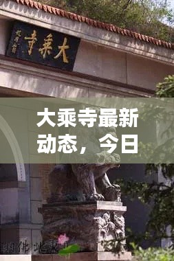 大乘寺最新动态，今日消息一览