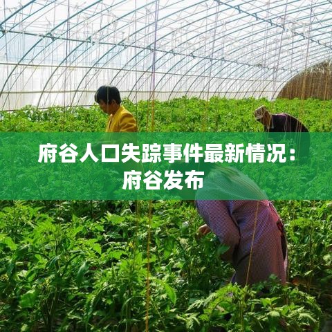 府谷人口失踪事件最新情况：府谷发布 