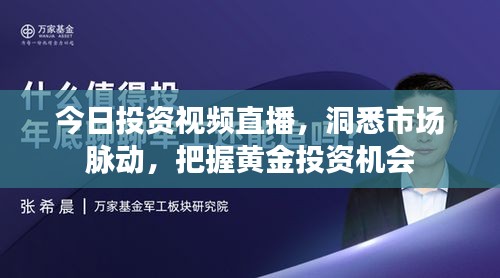 今日投资视频直播，洞悉市场脉动，把握黄金投资机会