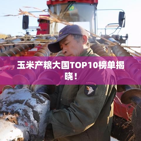 玉米产粮大国TOP10榜单揭晓！