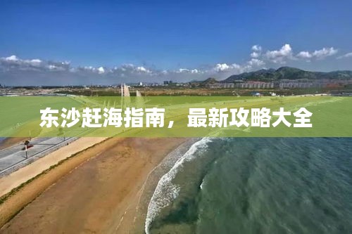 东沙赶海指南，最新攻略大全